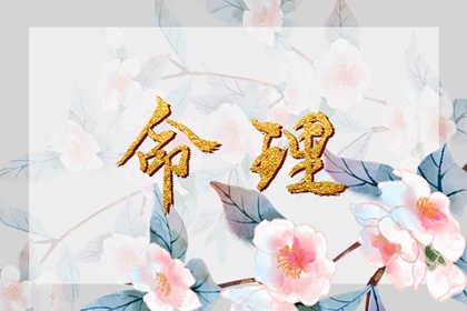 农历日历2026黄道吉日|2026年日历全年|2026万年历日历表